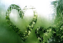 兰博竞技-关于赛地聚焦：NBA常规赛今夜热度飙升，广东宏远临场应变，底气十足，控场能力受关注的信息