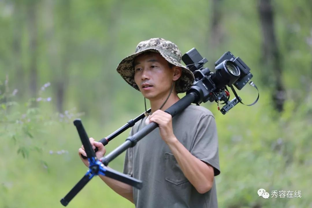关于多伦多猛龙发布备战花絮，今晚伤情更新，意大利杯任务艰巨，控场能力受关注的信息